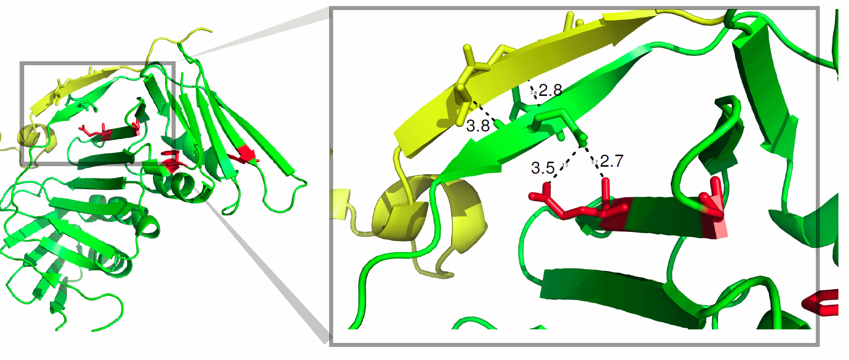 image from https://pubmed.ncbi.nlm.nih.gov/25565328/